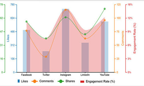 Digital Strategy